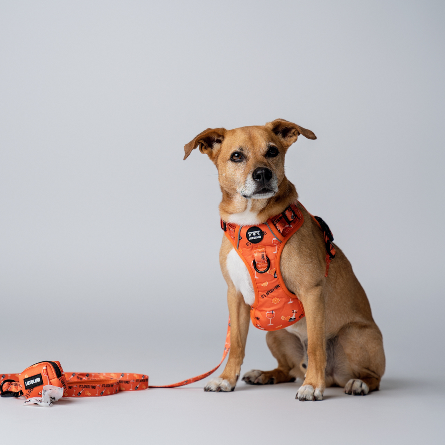 “Apéro Time" - Hiking Harness