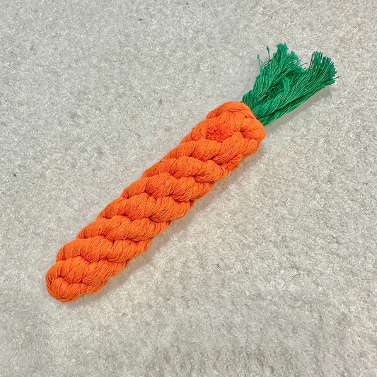 Carrot Rope Toy