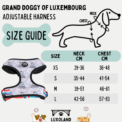 “Grand Doggy of Luxembourg” - Adjustable Harness