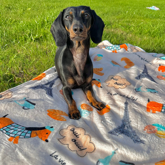 “Doxies In Paris” - Plush Blanket