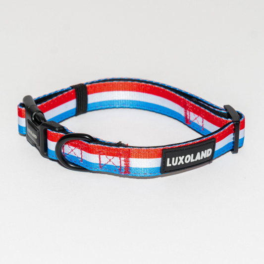 “Grand Doggy of Luxembourg” - Collar