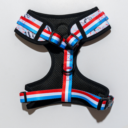 “Grand Doggy of Luxembourg” - Adjustable Harness