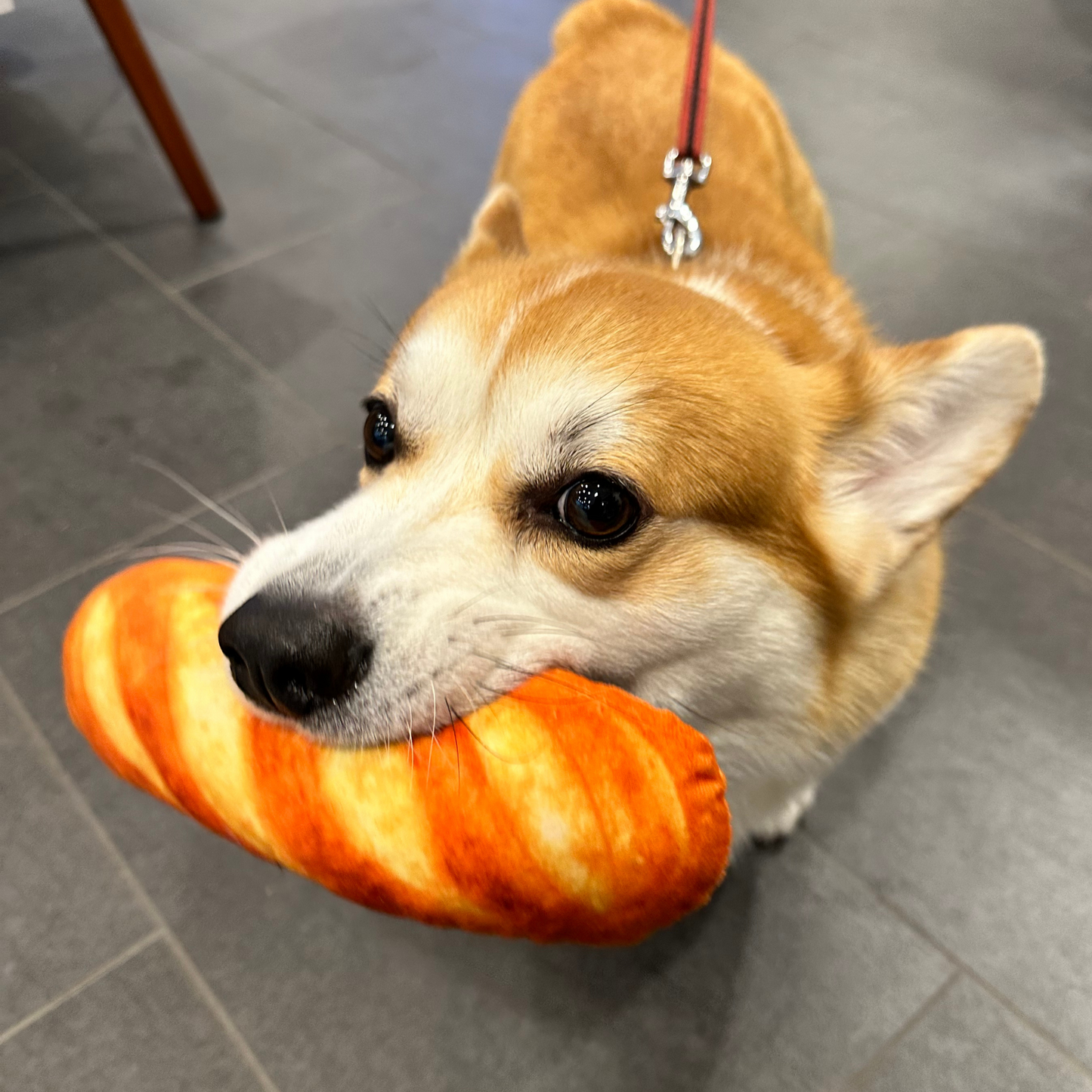 Baguette - Plush Squeaky Toy